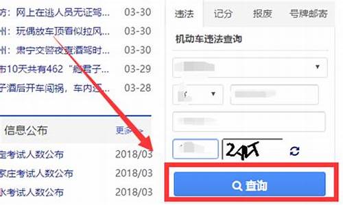 河北省交通违章查询_河北交通违章查询网查询系统