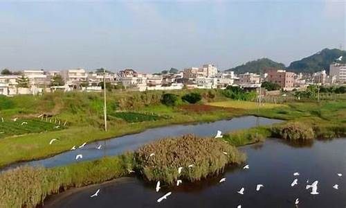 汕尾海丰天气预报15天_汕尾海丰天气