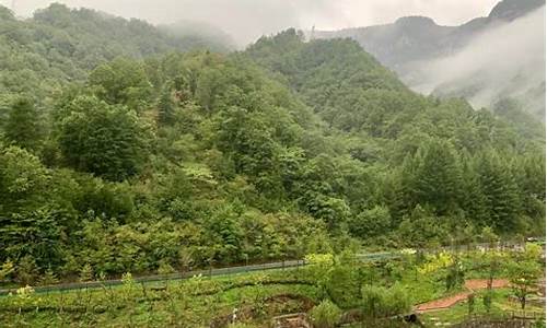 湖北神农架温度未来一周天气_湖北神农架的天气11天气情况