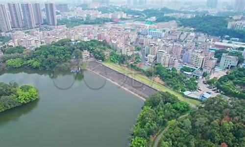 深圳平湖天气情况_深圳平湖天气