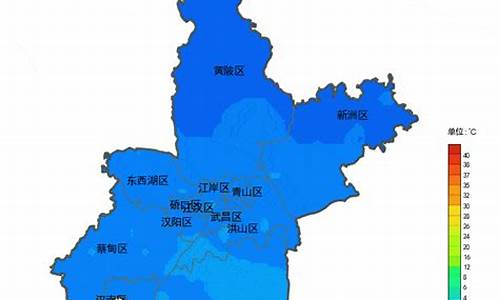 新洲天气预报30天_新洲天气预报